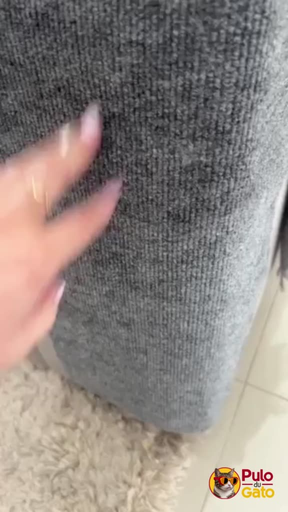 Arranhador Adesivo Protetor Sofá Cama - Carpete Premium Fixação Gold