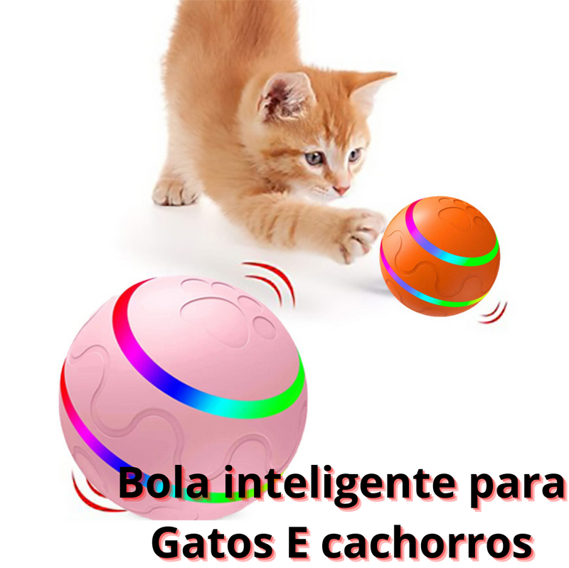 Bola de brinquedo para gatos e cachorros