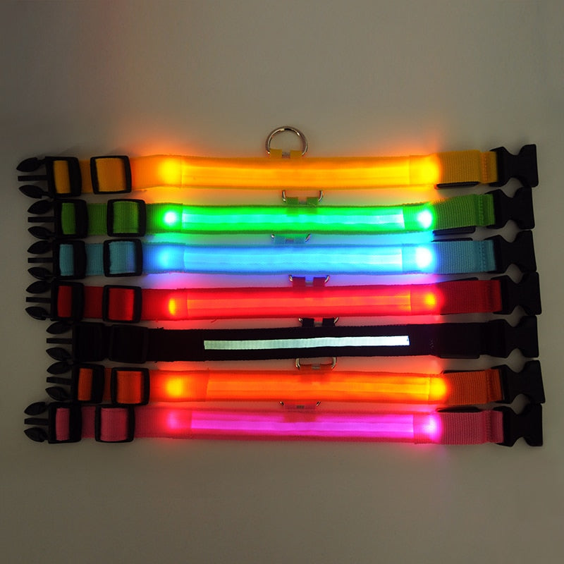 Coleira de LED LumiPets para Cachorros