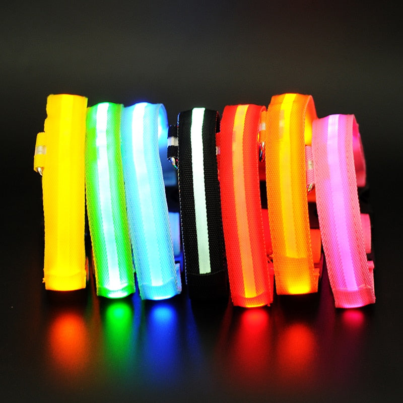 Coleira de LED LumiPets para Cachorros